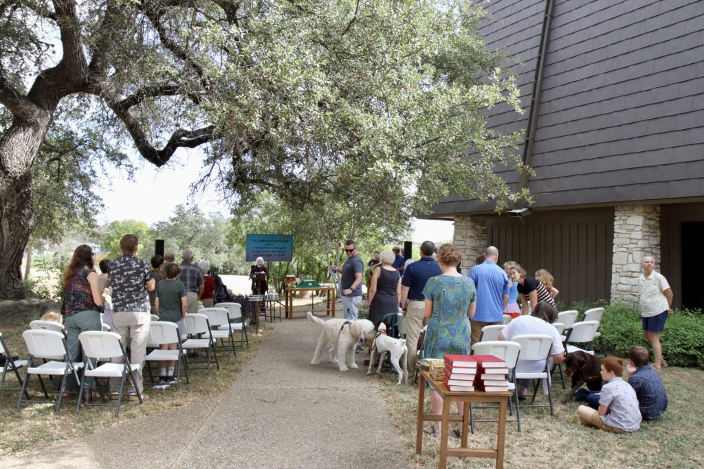 Worship under the oaks with animals