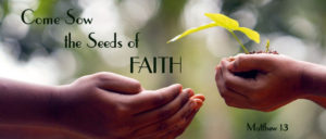 Hands holding a young plant, sharing with other open hands. Text reads Come sow the seeds of Faith. Matthew 13.